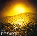 In The Woods - Omnio
