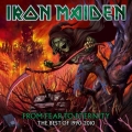 Iron Maiden - From Fear to Eternity - The Best of 1990-2010
