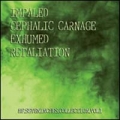 Cephalic Carnage - HF seveninches collection vol.1
