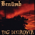 Pig Destroyer - Benumb / Pig Destroyer