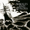 Whales And Aurora - The Shipwreck