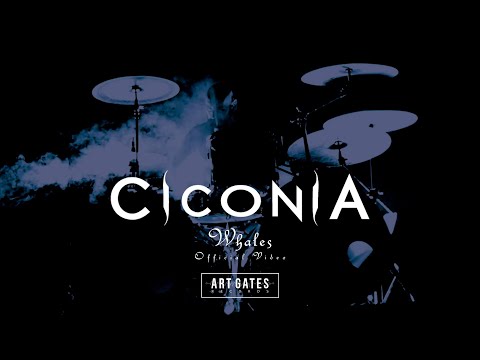 Ciconia - Whales (Official Video)