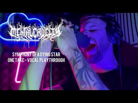 Symphony Of A Dying Star - Mental Cruelty One Take Vocal Playthrough by Lukas Nicolai