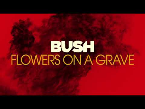 Bush - Flowers On A Grave [Official Audio]