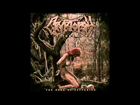 Cryptopsy - The Knife, The Head And What Remains 1