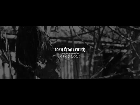 Torn From Earth - Morph (Official Music Video)