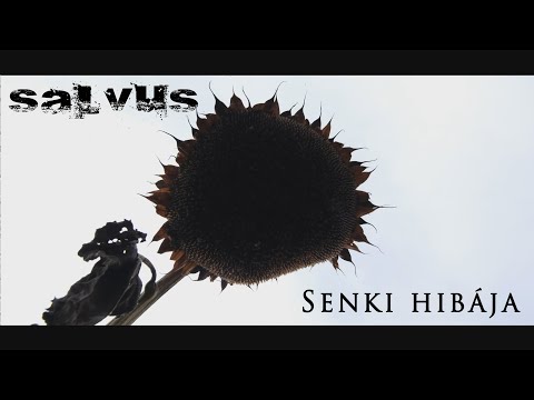 Salvus - Senki hibája (Official Music Video)