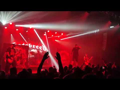 Hatebreed - Live for This - live at Budapest - 2024.06.18.