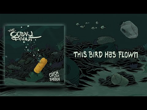 The Ocean Front - This Bird Has Flown (Official Audio)