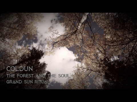 COLDUN - The Forest And The Soul (OFFICIAL VIDEO)