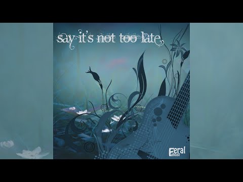 Feral Ghost - Say It&#039;s Not Too Late (Official Music Video)