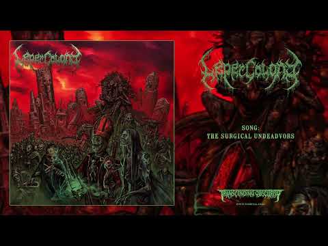 LEPER COLONY (Sweden/Germany) - The Surgical Undeadvors (Death Metal) Transcending Obscurity