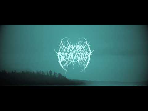 WOODS OF DESOLATION - &quot;Far From Here&quot; (Official Video) 2022