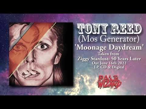 David Bowie | Moonage Daydream | Tony Reed | Tribute | Ziggy Stardust