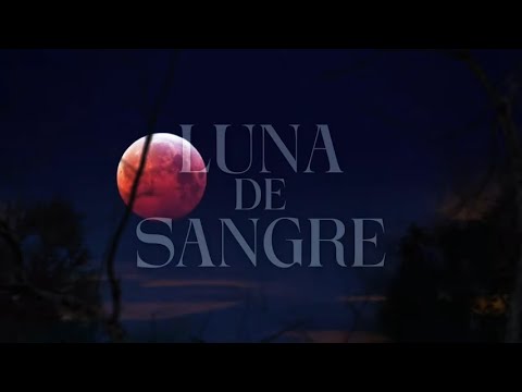 Mägo de Oz - Luna de sangre (Lyric Video Oficial)