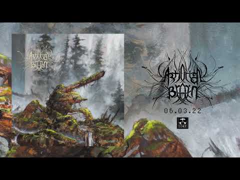 ARTIFICIAL BRAIN - Celestial Cyst (official audio)