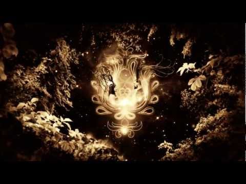 Niburta - Awakening - EP version - ( OFFICIAL VIDEO )