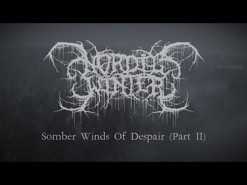 Nordicwinter - Somber Winds Of Despair (Part two) [Lyric Video] (Depressive Black Metal)