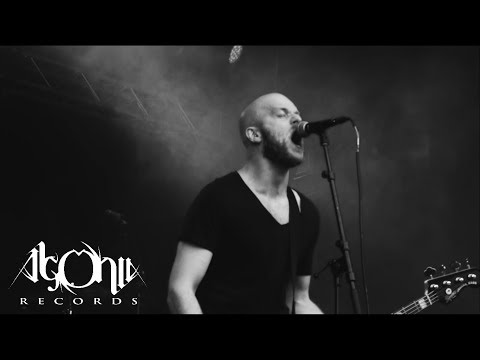 ANTARKTIS - Svalbard (Official Music Video)