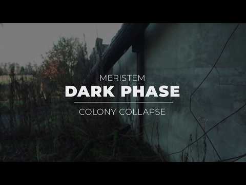 Meristem - Colony Collapse