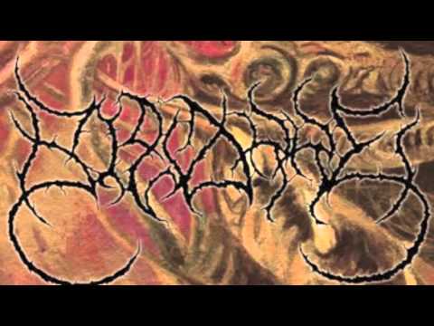 BIZARRE - Moldy and Decomposed