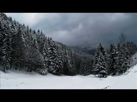 Shallow Rivers - Snow