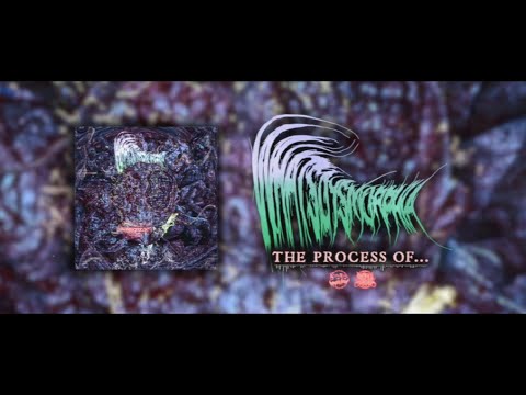 WHATSDYSMORPHIA - THE PROCESS OF... [SINGLE] (2024) SW EXCLUSIVE