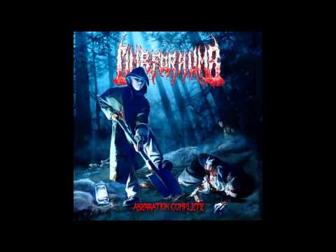 Limb for a Limb - Lord of my Son