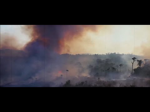 CLEARxCUT - The Sky Ablaze (official video)