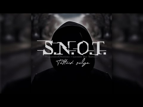 ** S.N.O.T. - Tetteid súlya ** Official szöveges videó **