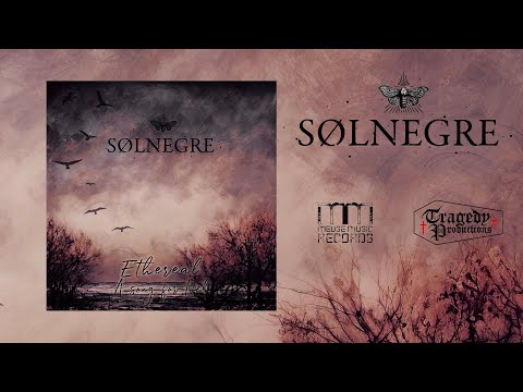 SolNegre - Ethereal / A Song For Nel [Official Visualizer]