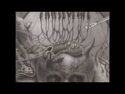 Anatomia - Uncanny Descension