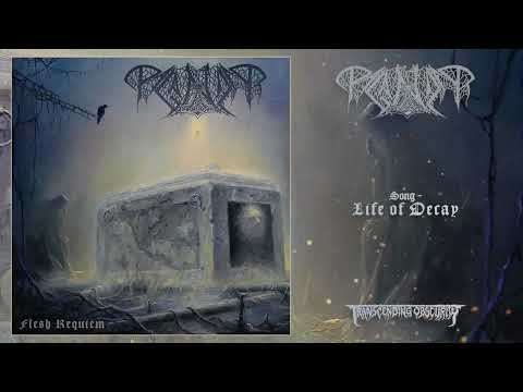 PAGANIZER (Sweden) - Life of Decay (Death Metal) Transcending Obscurity Records